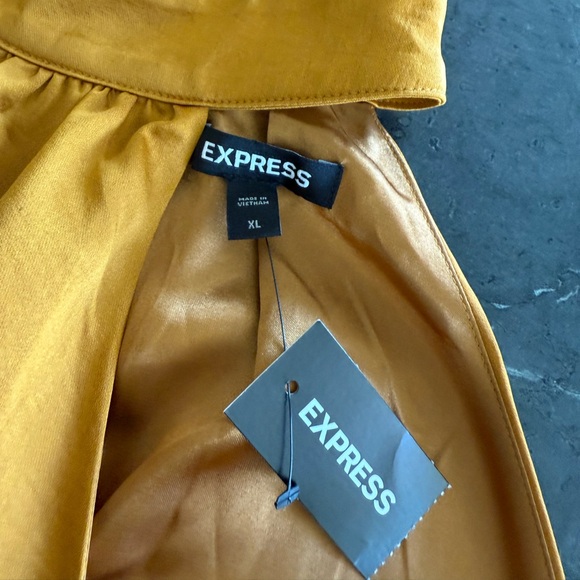 Express Golden Elegant Halter Dress - Picture 6 of 6